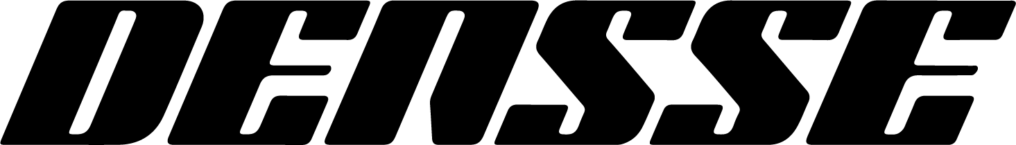 DENSSE