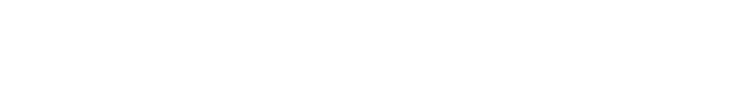 DENSSE